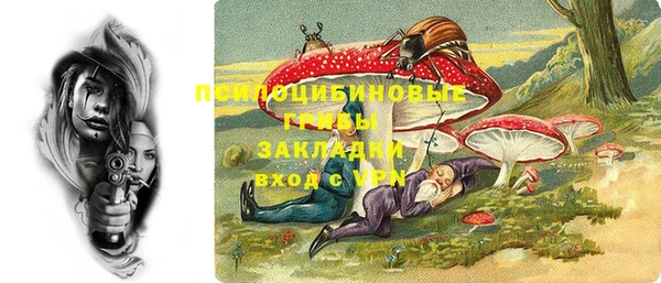 не бодяженный Арсеньев