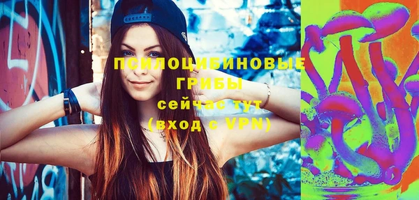 не бодяженный Арсеньев