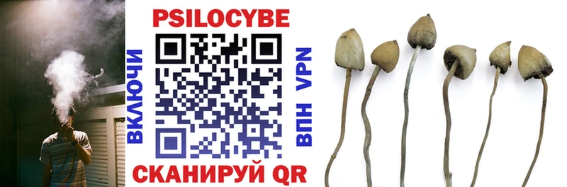 Галлюциногенные грибы Magic Shrooms  Новоузенск 
